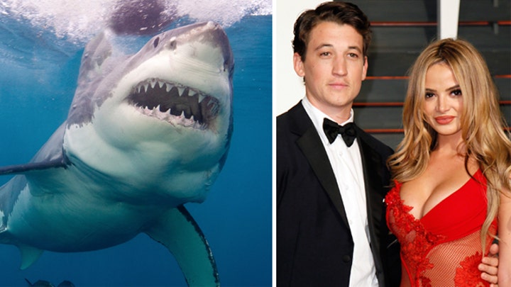 Wait, who saved whom from a shark?