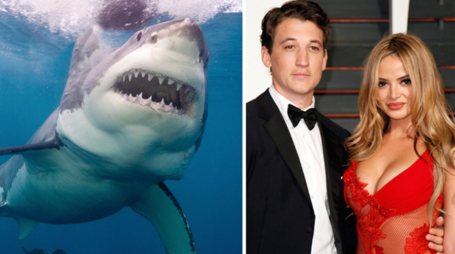 Wait, who saved whom from a shark?
