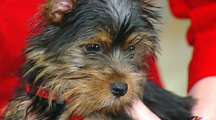 The Good, the Bad and the Ugly