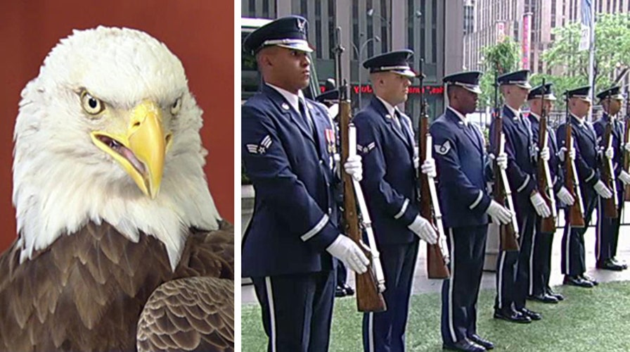 USAF Honor Guard, Challenger the Eagle honor our heroes