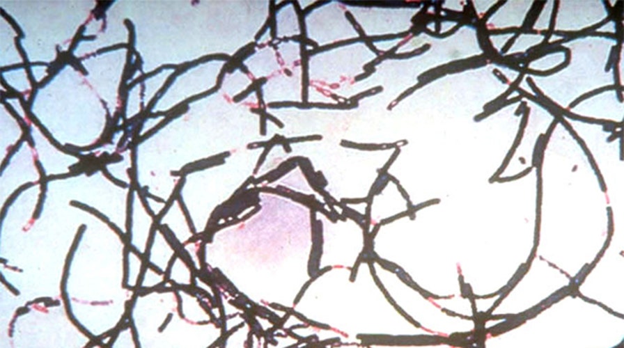Pentagon confirms live anthrax transferred across US