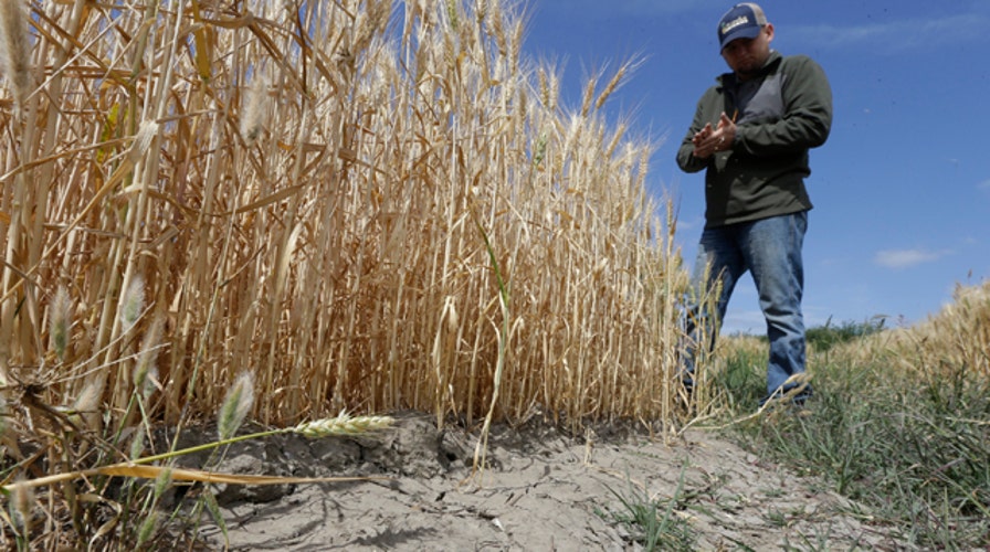 California cutting back on water use amid historic drought