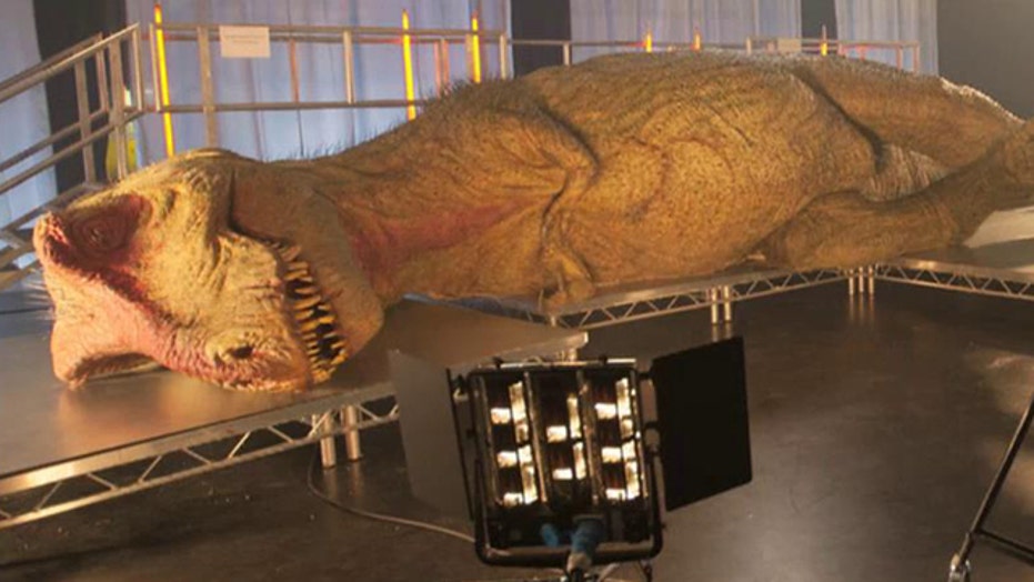 Experts create first full-size, anatomically complete T-Rex