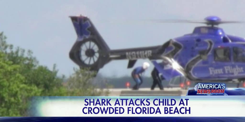 060815_shark | Fox News Video