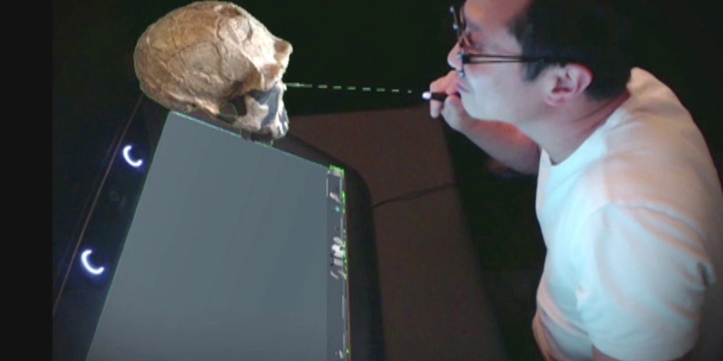 3 D Holographic Imaging Takes Medical Students Inside The Human