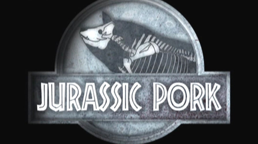 'Jurassic Pork': Earmarks survive extinction on Capitol Hill