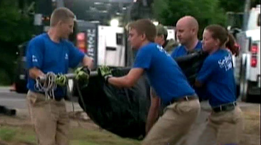 Shark killed in truck crash on Florida highway