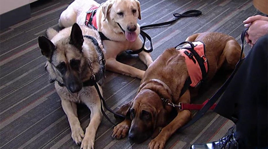 How police tracking dogs help locate escaped criminals