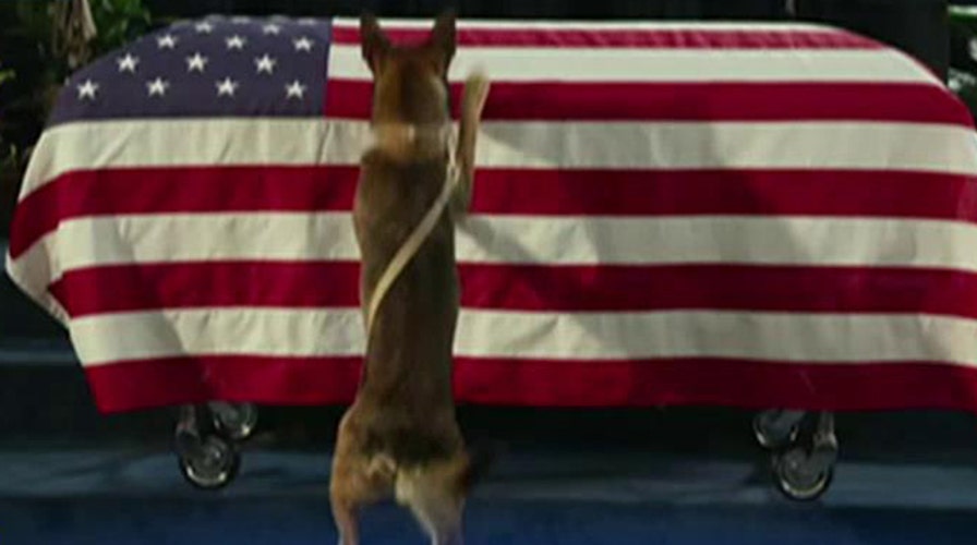 Inspiring true story behind the four-legged film 'Max'