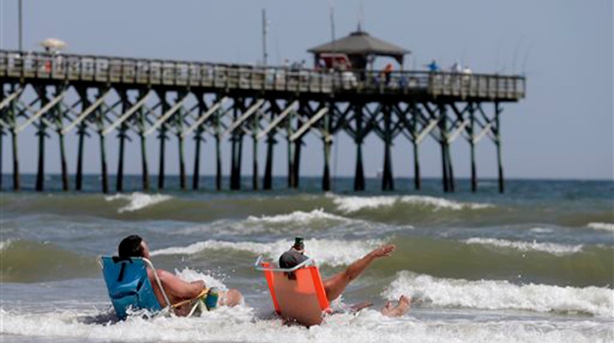 Experts examine 'very unusual' surge of shark activity in NC