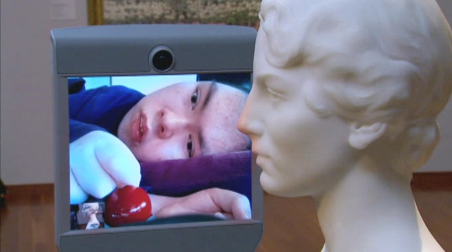 Robotic technology allows disabled visitors to roam museums