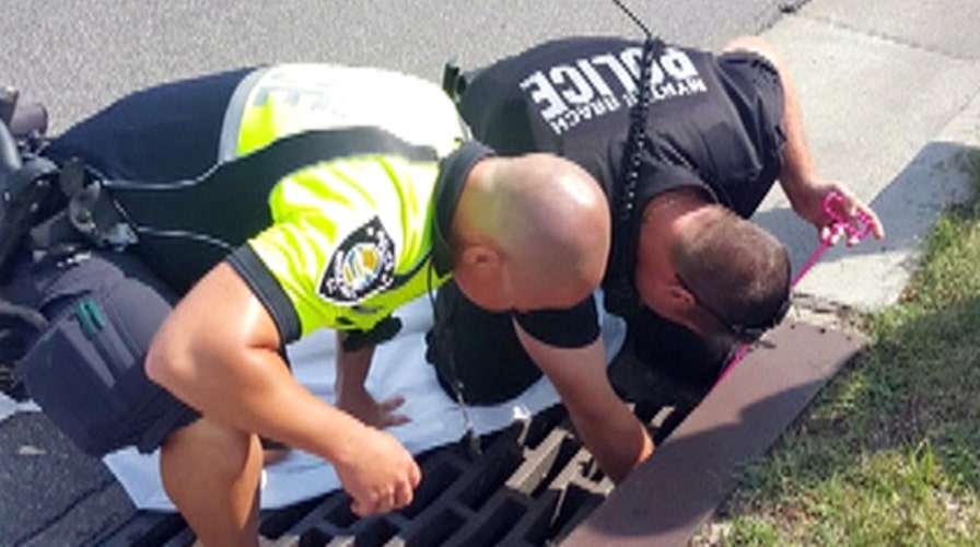 The Good, the Bad and the Ugly