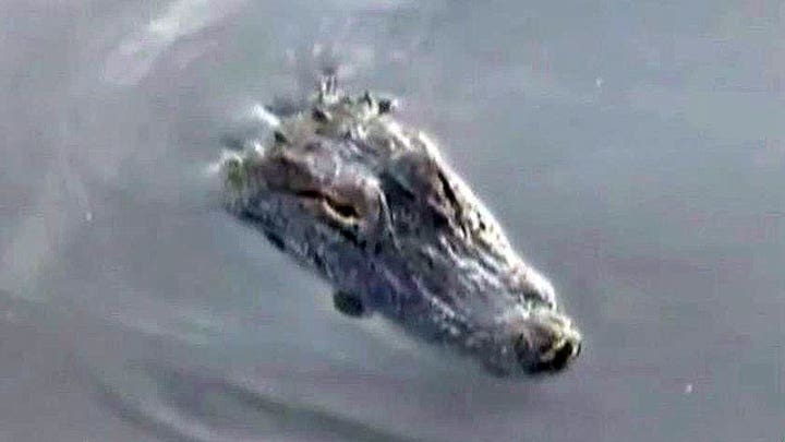Gator kills man swimming in Texas bayou