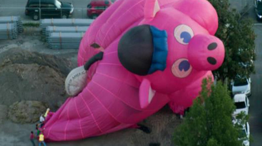Pilot escapes after pig-shaped hot air balloon crashes