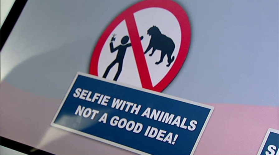 Death by selfie? Russian police issue guide to staying safe