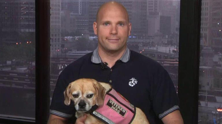 Veteran with PTSD says he's being evicted for service dog