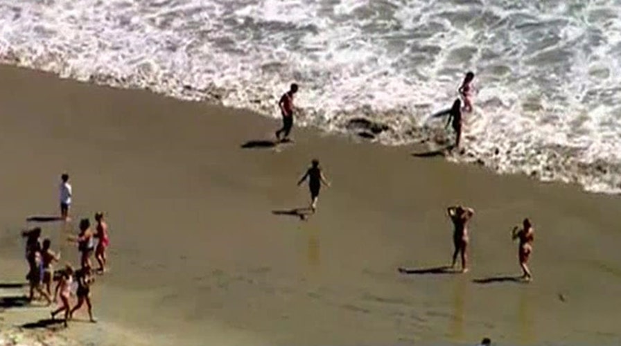 California beach shutdown after shark bumps surfboard