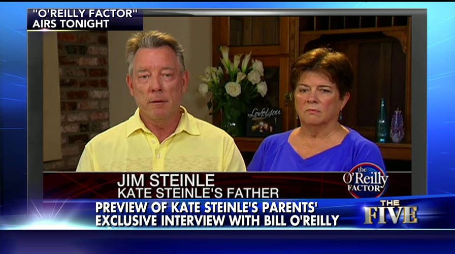 071315_thefive_steinle