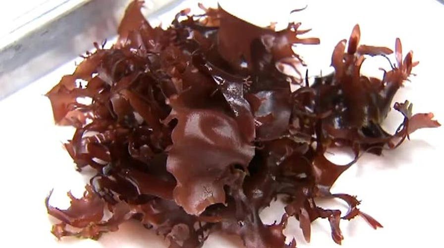Bacon-flavored seaweed a healthier alternative?