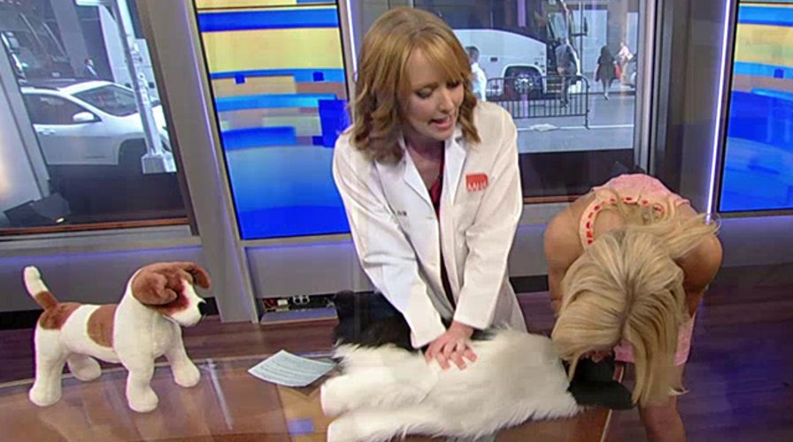 Tips to save your dog's life