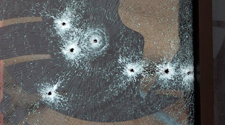 Deconstructing the red flags of domestic terror