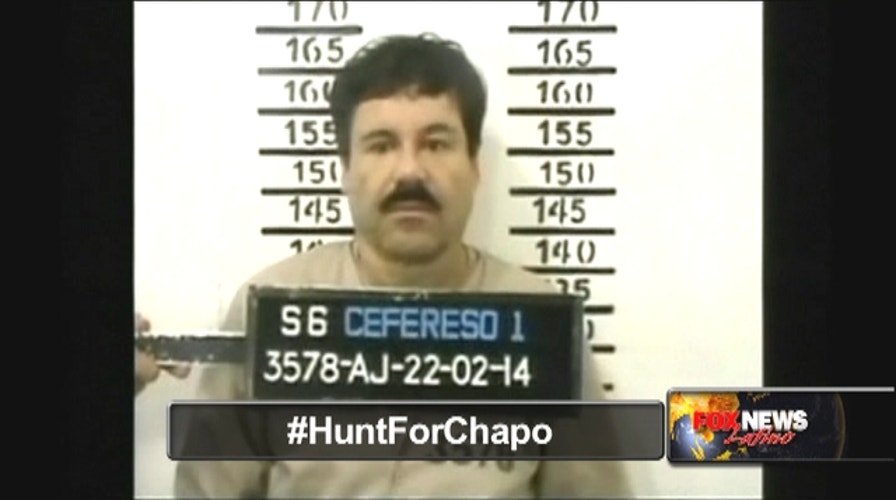 Theory: Imprisoned Chapo was actor