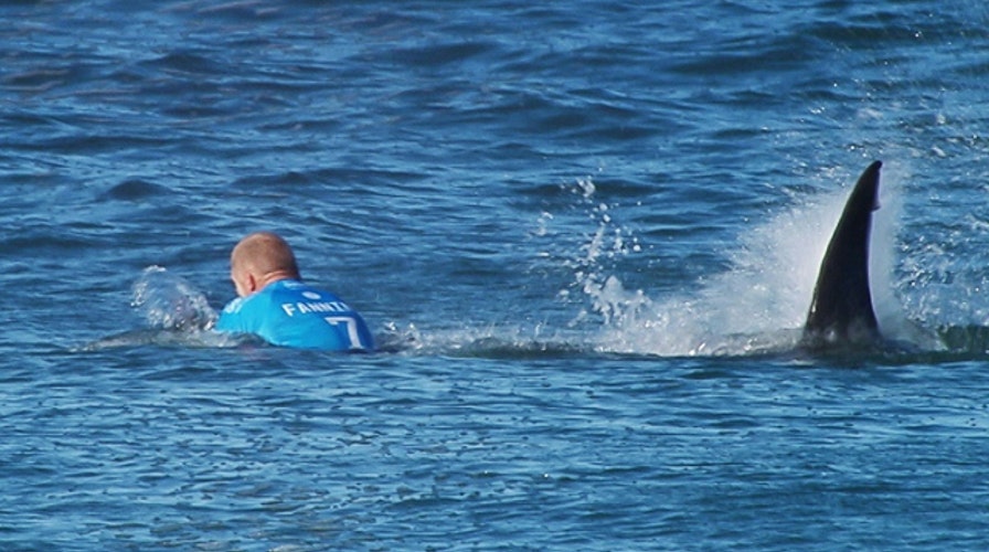 Surfer makes harrowing escape from shark on live TV