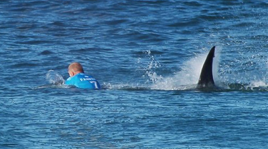 Is there a global surge in shark attacks?