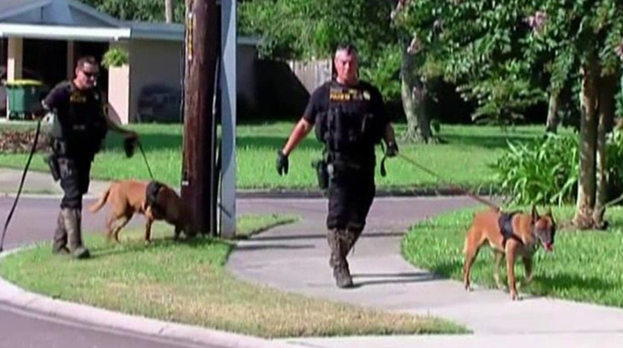 Massive manhunt underway for missing toddler in FL