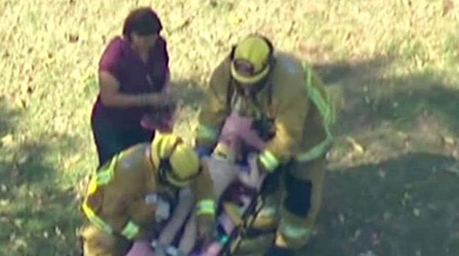 8 kids injured when massive tree crashes down on summer camp