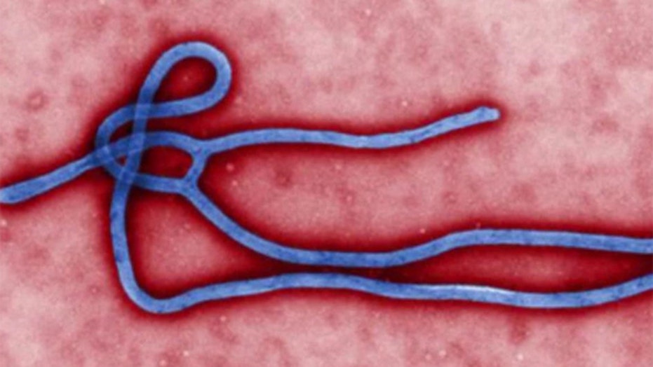 Ebola in Congo now infecting newborn babies, UN says Fox News