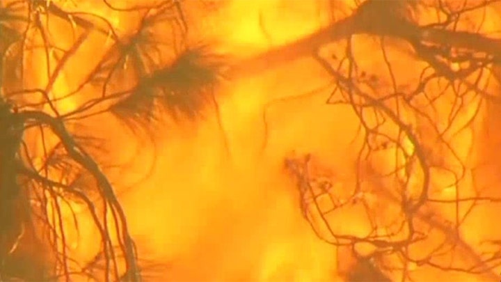 Hundreds evacuate homes as California wildfires spread 