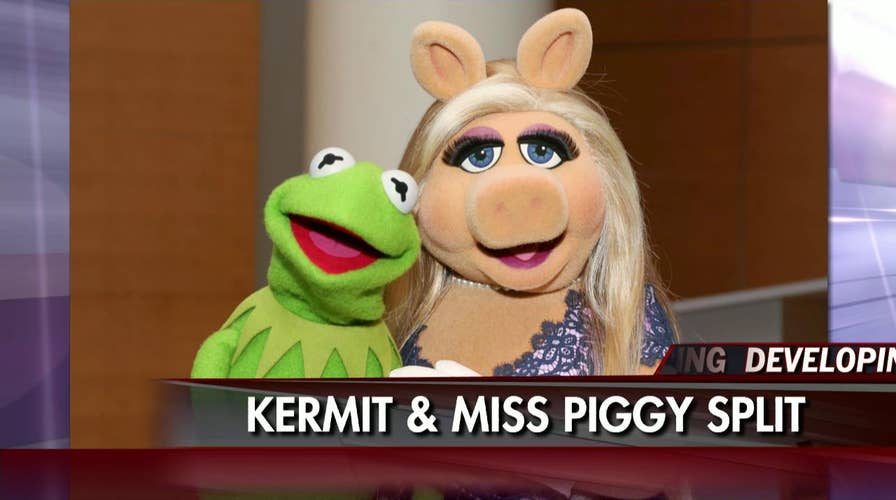 080415_kermit