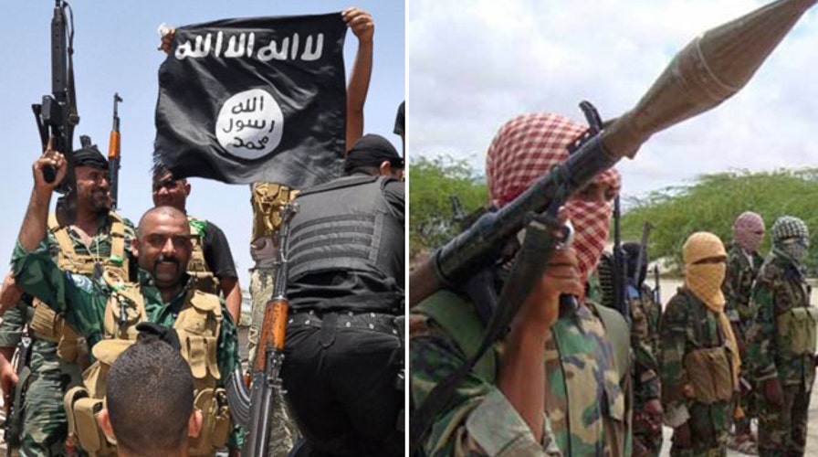 US Defense, Intel agencies split over top terror threat