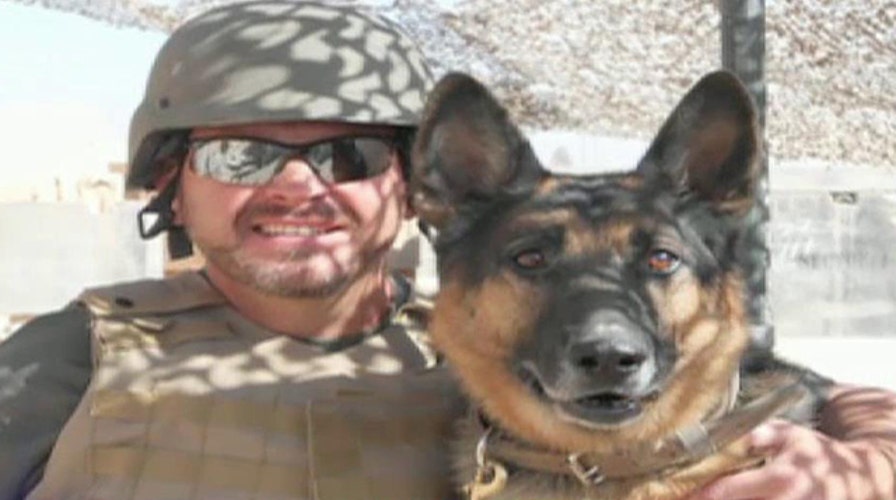 US Army contractor reunited with service dog
