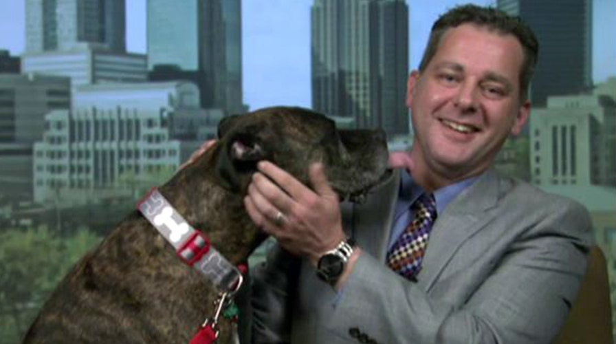 Family drives long-distance for lost dog