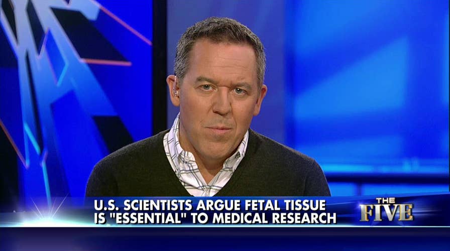 081115_gutfeld