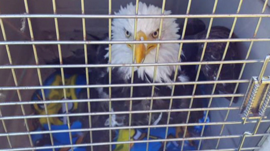 The Good, the Bad and the Ugly