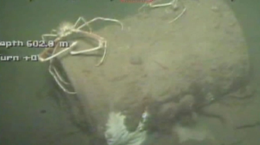 New warning about serious danger on seafloor of the gulf