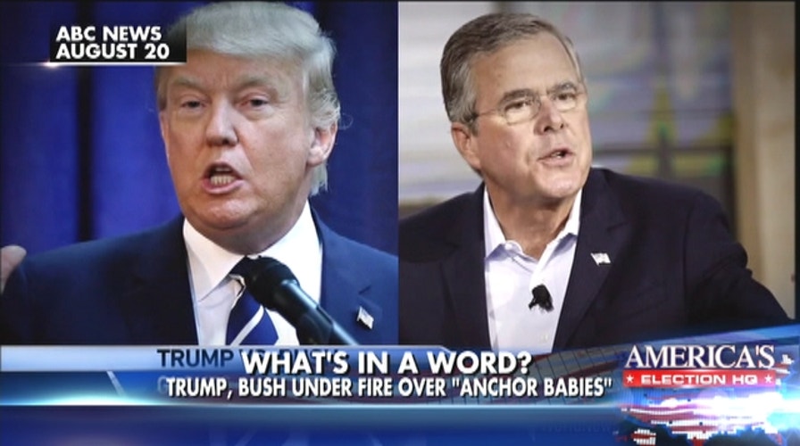Trump, Bush under fire over 'anchor babies'