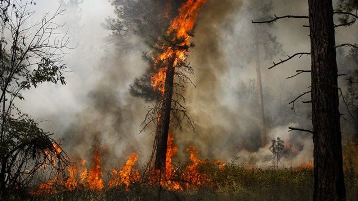Washington state wildfires now largest in state’s history
