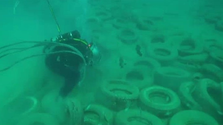 Divers removing artificial tire reef off Florida coast