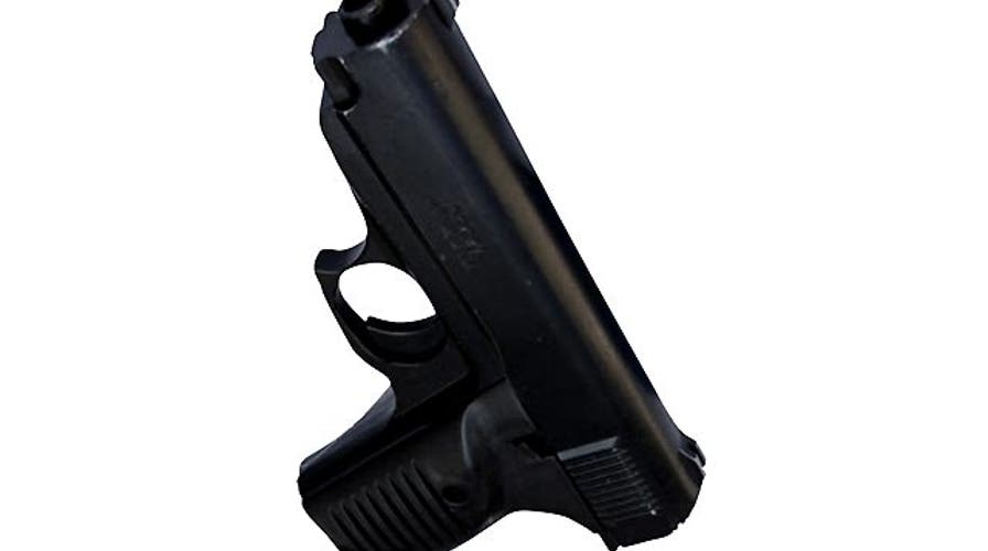 Shooting of TV crew fuels new debate over gun control