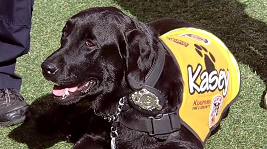 Kasey the Dog teaches kids about fire safety