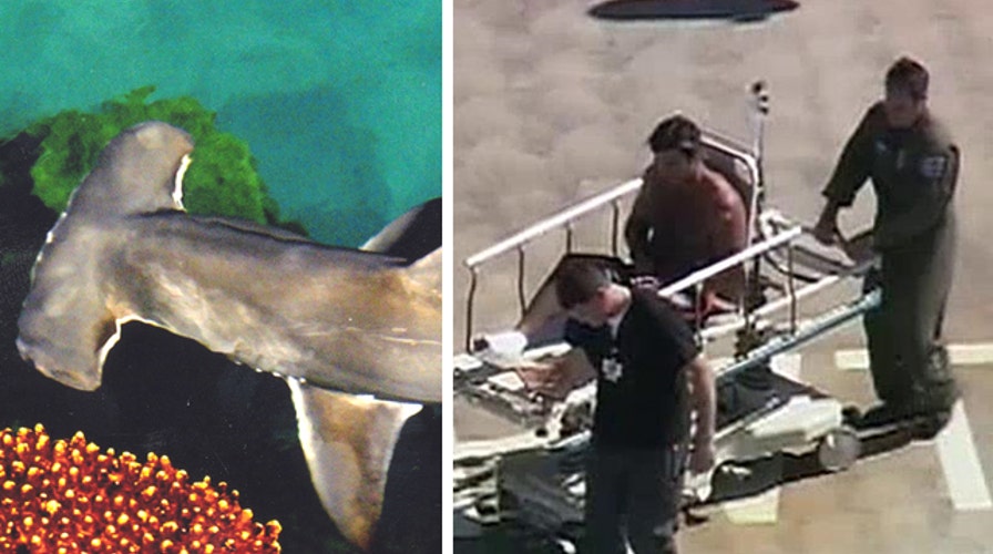 Calif. kayaker gets foot bitten by hammerhead shark