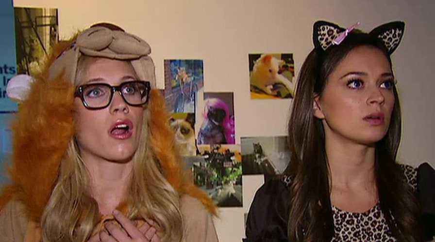 'The Greg Gutfeld Show' tours Internet cat exhibit