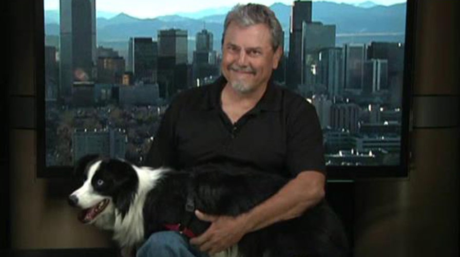 Dog survives 43 days in the wild after car crash
