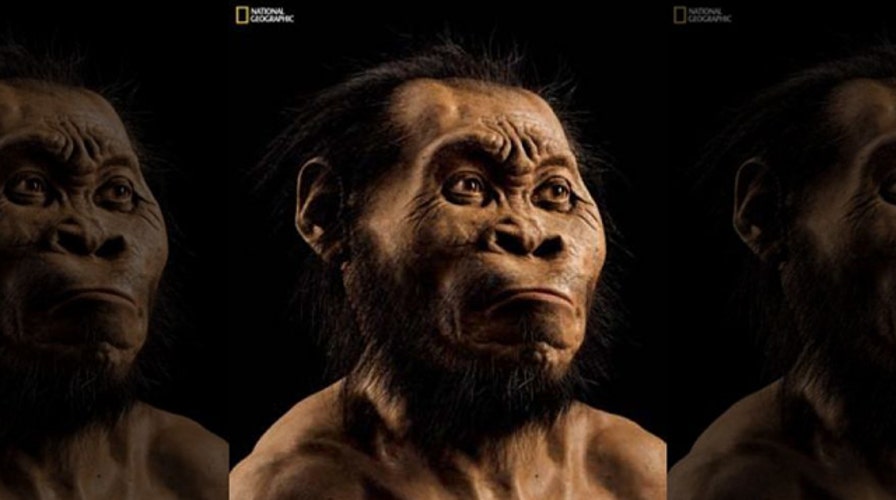 Scientists say they’ve discovered species related to humans 