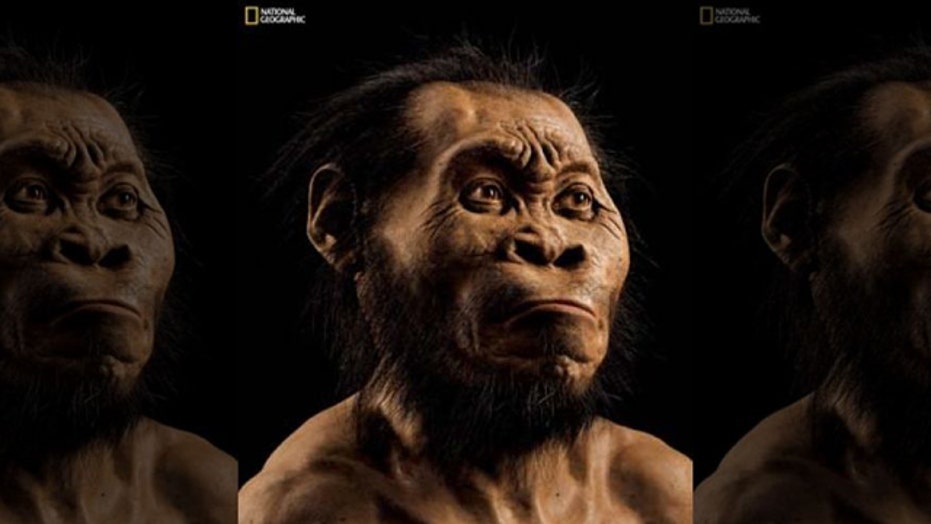 Scientists say they’ve discovered species related to humans 