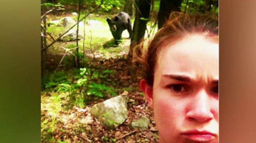 Colorado park closed over bear selfies 